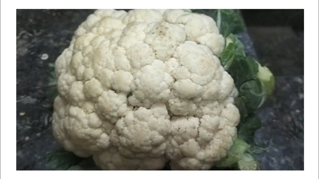 Cauliflower 65 in the recipe in Tamil / காலிஃப்ளவர் 65  BABI Suki vlogs video 