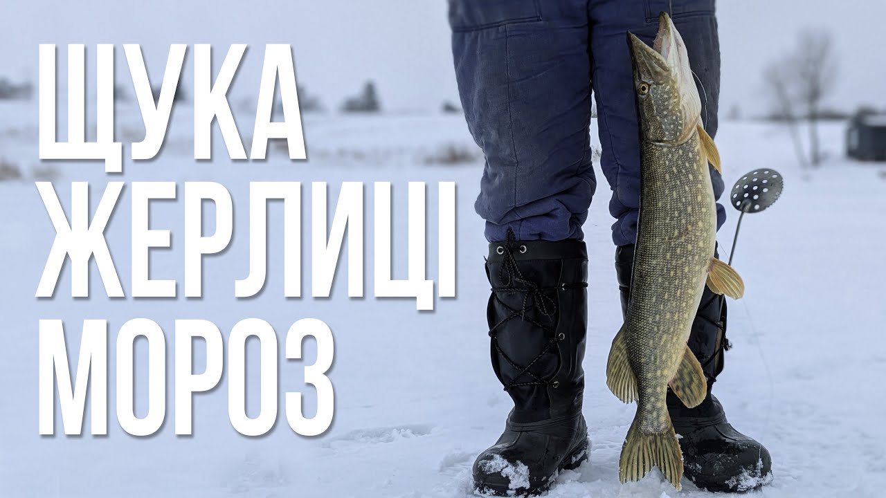 ЩУКА на ЖЕРЛИЦЫ в лютый мороз. Зимняя рыбалка