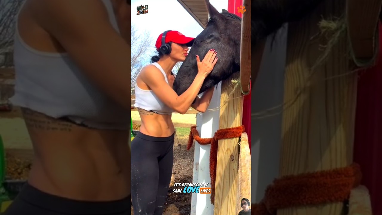 No Words&hellip; Just Pure Soul ❤️ The Most Emotional Animal Moments Part 6