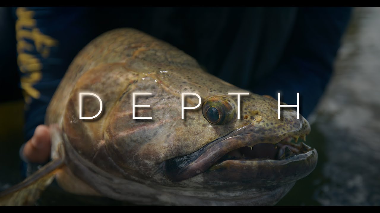 Depth