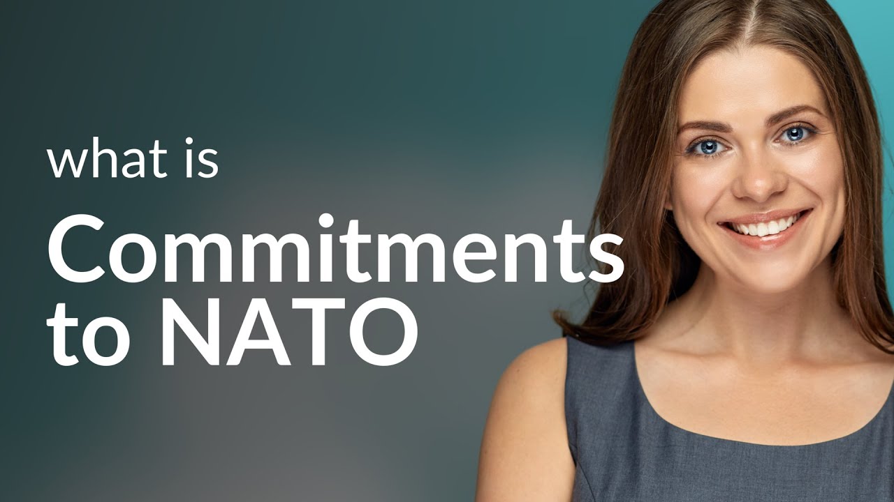 Understanding Commitments to NATO: A Guide