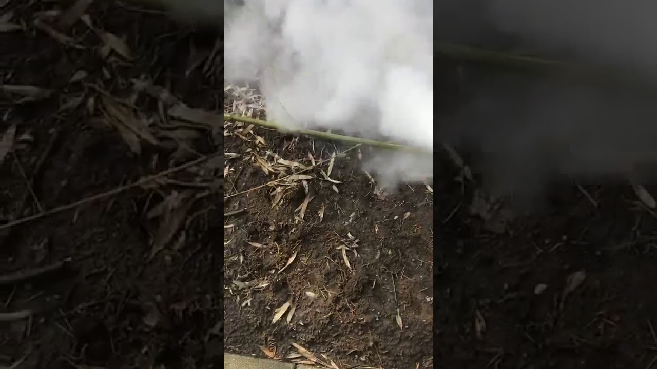 BMW Fire Extinguisher