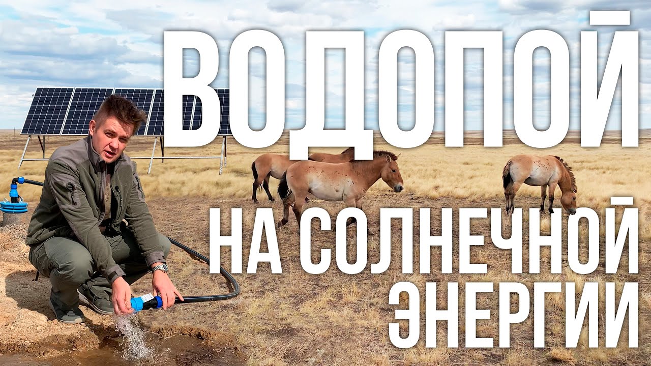 Солнечные насосы! Построили инновационные водопои на солнечных батареях в Заповедниках Оренбуржья.