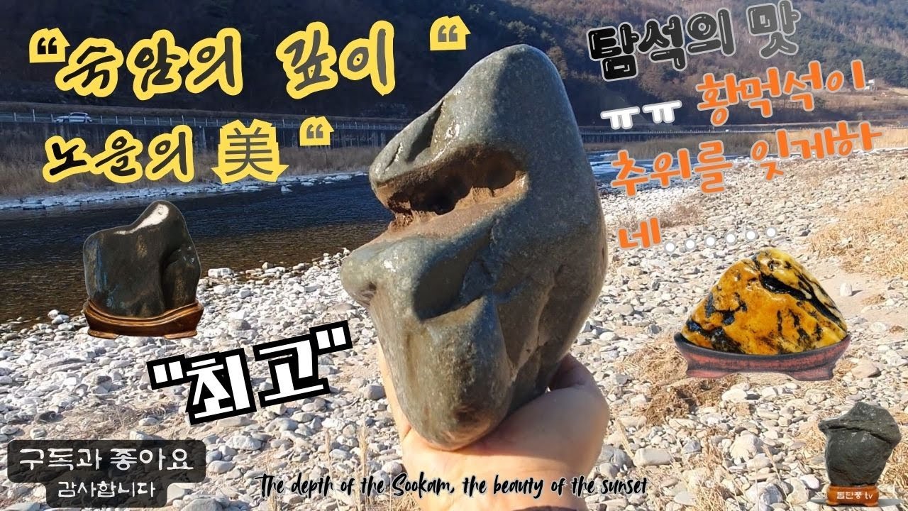신비로운 숙암의 색감#the mysterious color of the Sukamseok #탐석기행#수석취미#정선조양강#숙암석#노을석#정선꽃돌#골석#변화석#돌단풍tv