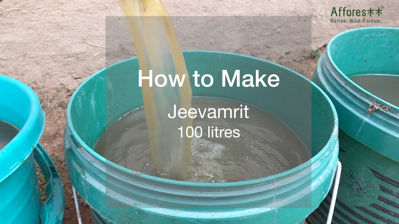 How to make Jeevamrit