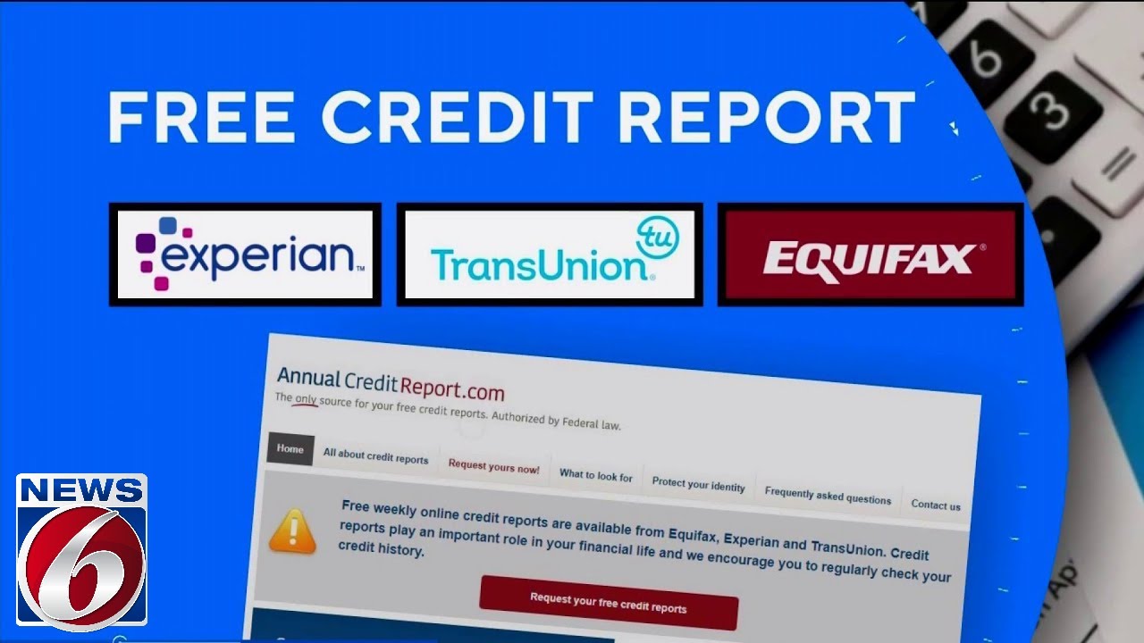 Credit report errors can have devastating impacts. Here&rsquo;s what to know