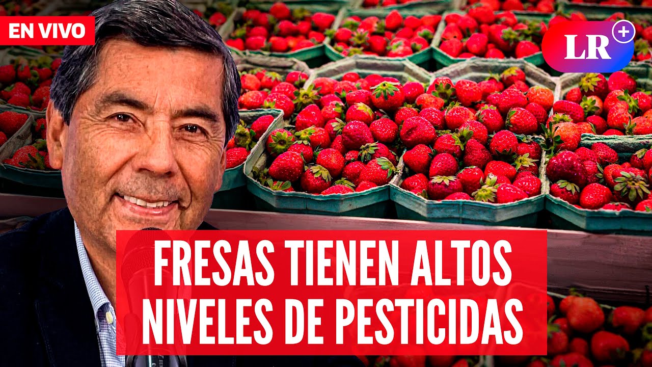 Fresas de Lima y Callao contienen altos niveles de pesticidas | #EnDirectoLR