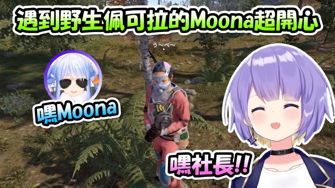 【RUST】Moona路上遇到野生的佩可拉社長開心到不行，還被社長狠狠寵愛了一番www【Moona】【Hololive/ホロライブ】【vtuber中文字幕】