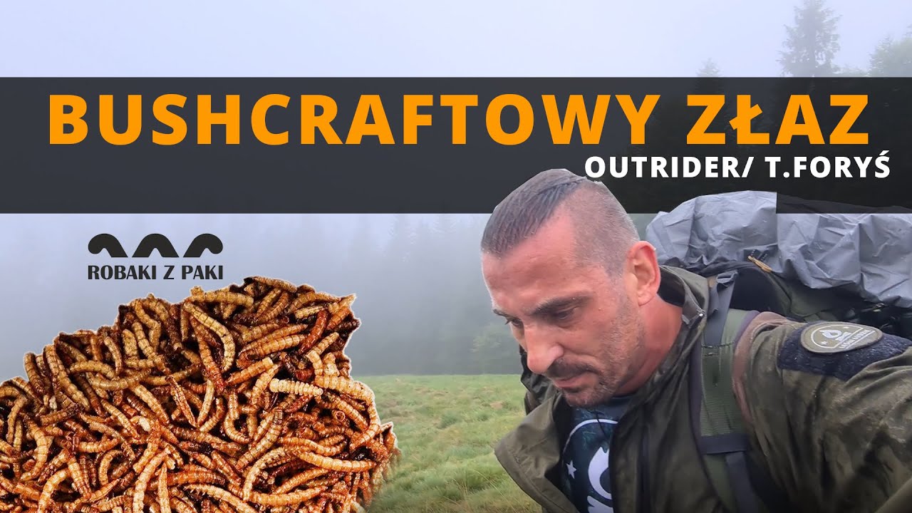 Złaz Bushcraftowy Outrider - jadalne robaki oraz mój sposób na szybkie rozbicie tarpa