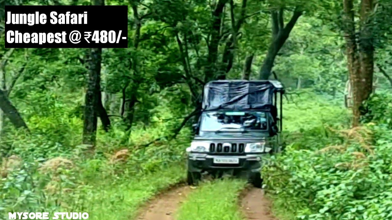 Cheapest Jungle Safari : ₹480/- @ BR Hills  K.Gudi | Chamarajanagar Tourism Karnataka Tourism