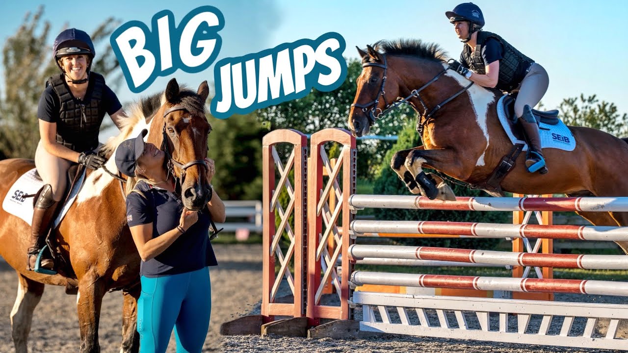 Pro SHOWJUMPER Competes My Horse