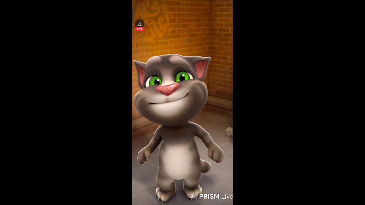 Talking tom live part 5