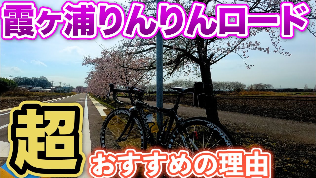 【サイクリング】つくば霞ヶ浦りんりんロード　日帰りで走ってみた