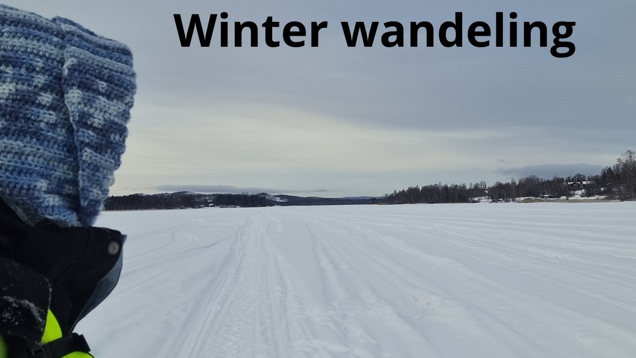 Winterwandeling.  Onder andere ook over het meer. Dinsdag 17 februari 2026.  #Wandelvlog 9