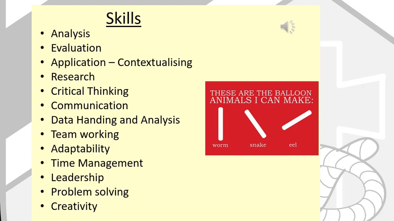business studies