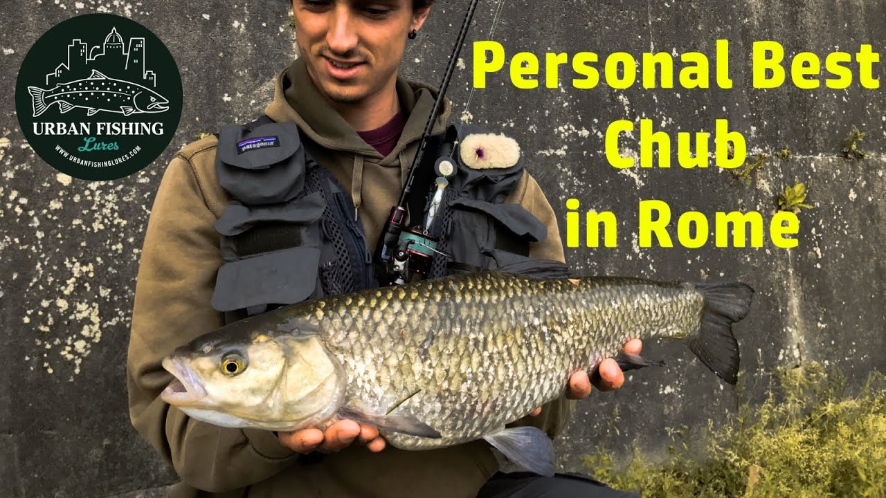 Cavedano ENORME e AGGRESSIONE sul Tevere! Record Personale a Roma - UrbanFishing Lures - RealDeal50