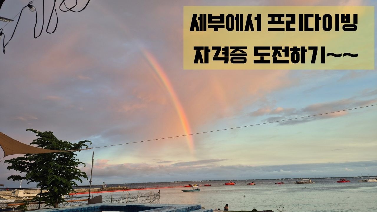 세부에서 프리다이빙 자격증도전!! 언더더씨 다이빙리조트로 선택~~