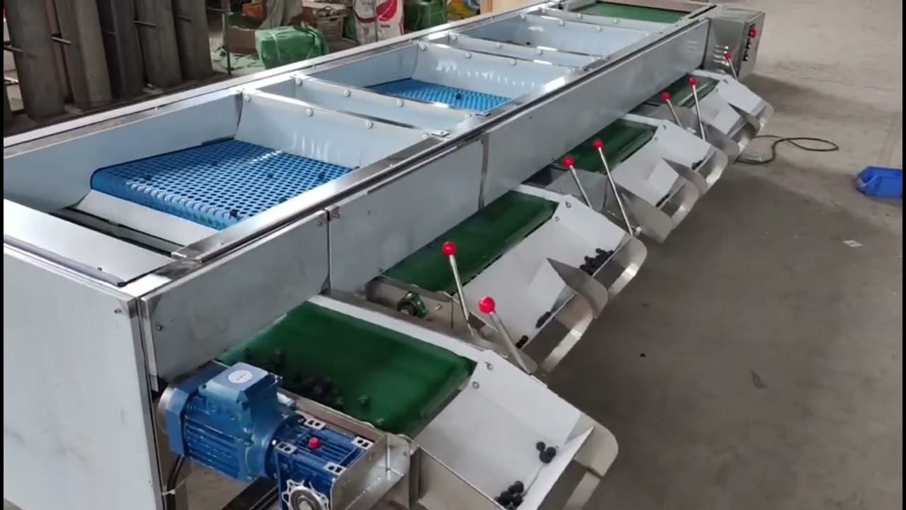 Blueberry Sorting Machine, Blueberry Grading Machine