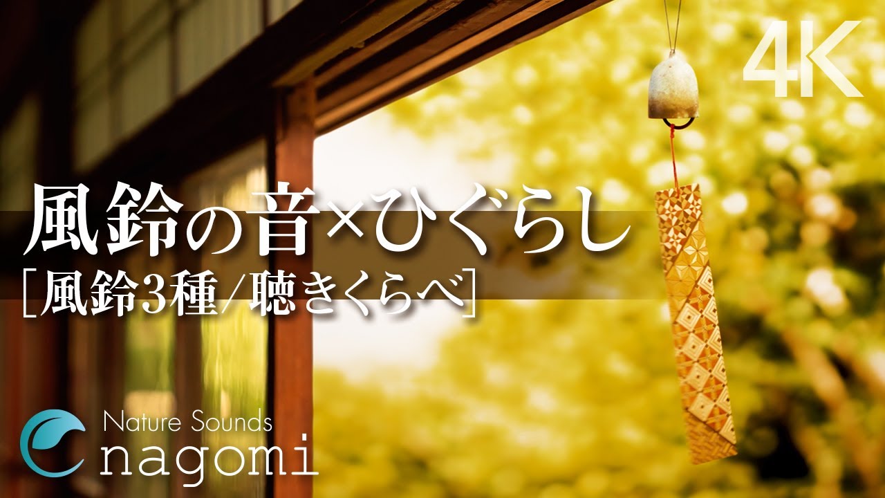 【環境音/ASMR】夏の音｜風鈴の音・ひぐらしの鳴き声｜勉強・睡眠・作業用BGM｜自然音・Nature Sounds