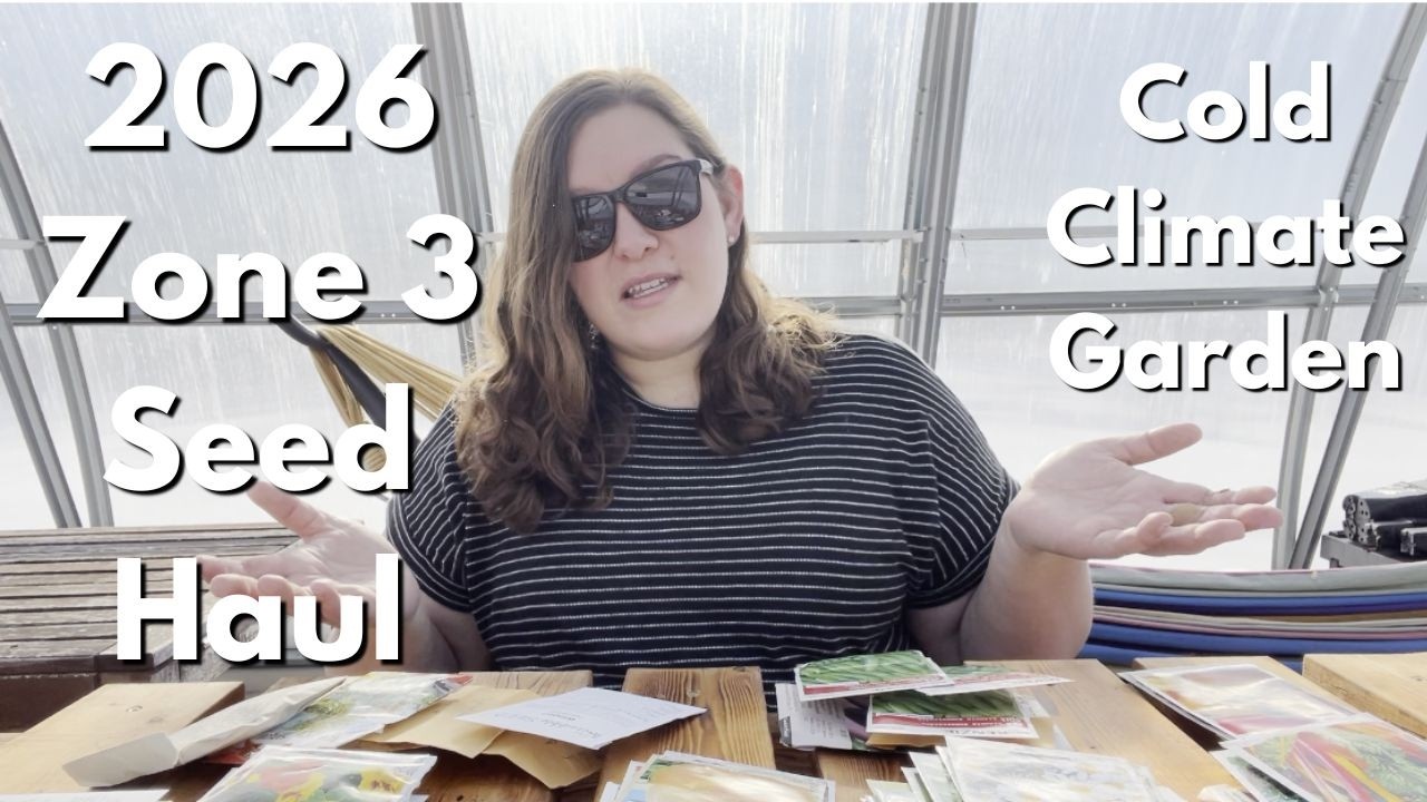 Zone 3 Seed Haul 2026: Seeds for a cold climate!