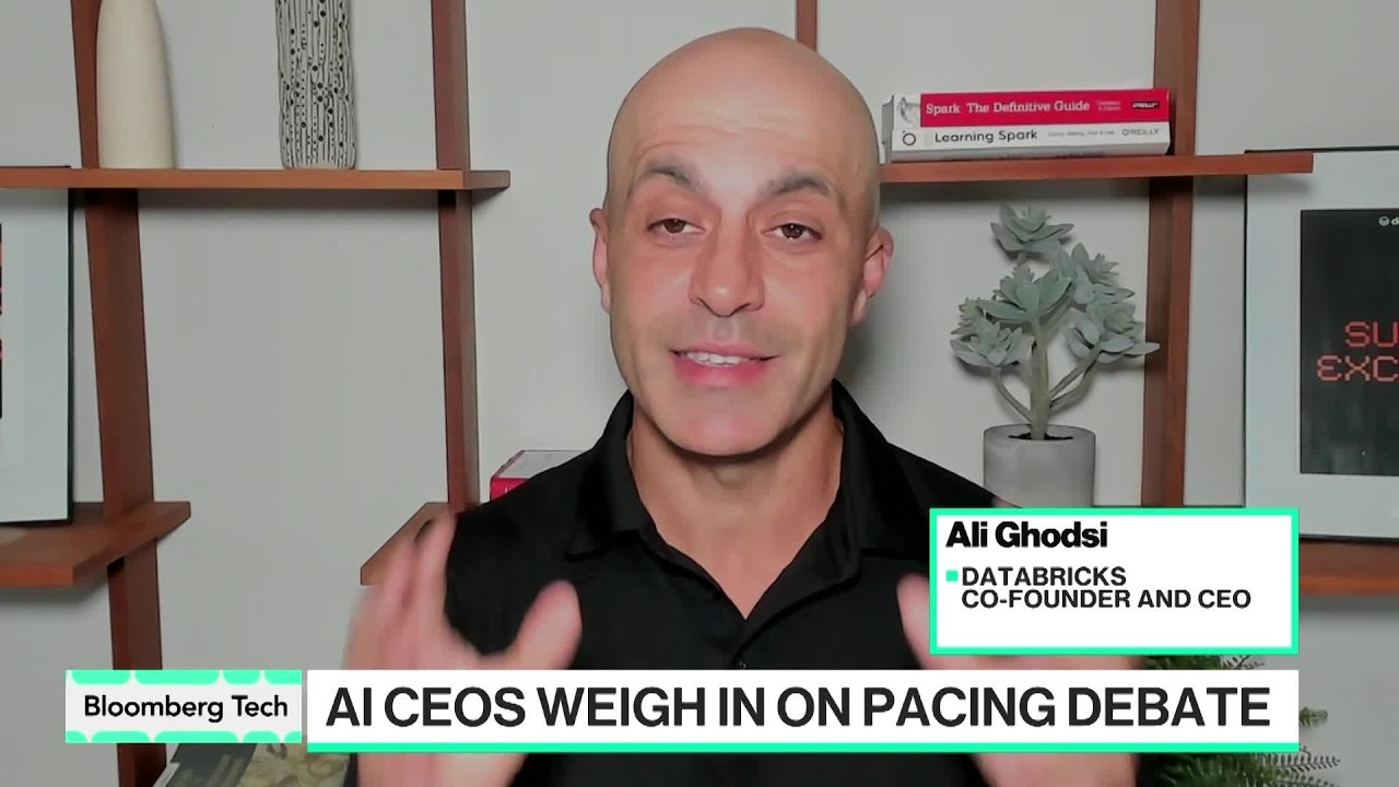 AI &lsquo;Existential Risk&rsquo; Is Close to Zero: Databricks CEO