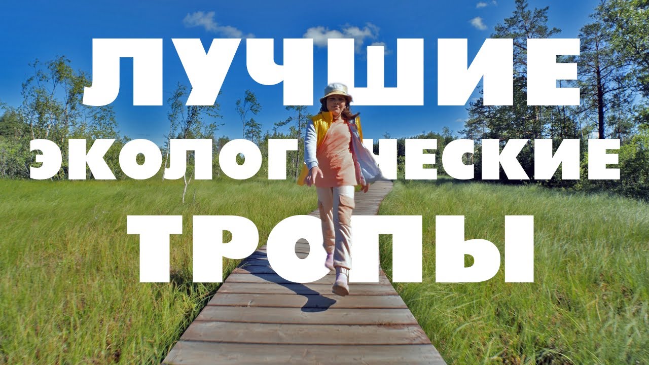 ЛУЧШИЕ ЭКО ТРОПЫ ЛЕНИНГРАДСКОЙ ОБЛАСТИ😀👍