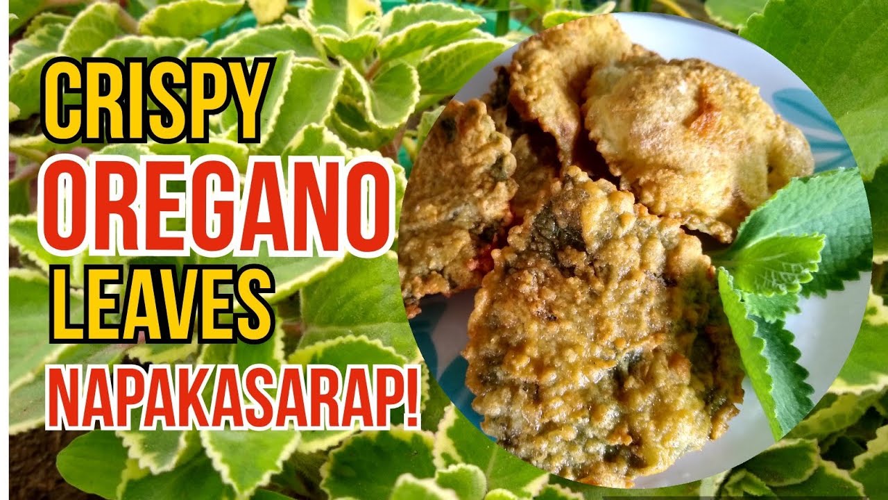 Crispy Oregano Leaves | Anong Lasa ng Crispy Oregano | #oreganodish #healingherb #oreganobenefits