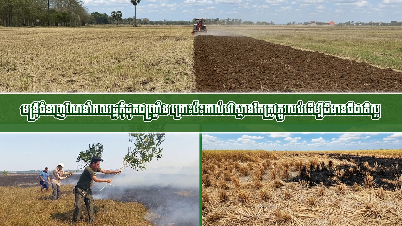 មន្រ្តីជំនាញណែនាំពលរដ្ឋកុំដុតជញ្ជ្រាំង ព្រោះប៉ះពាល់បរិស្ថានតែត្រូវភ្ជួរលុបដើម្បីដីមានជីជាតិល្អ