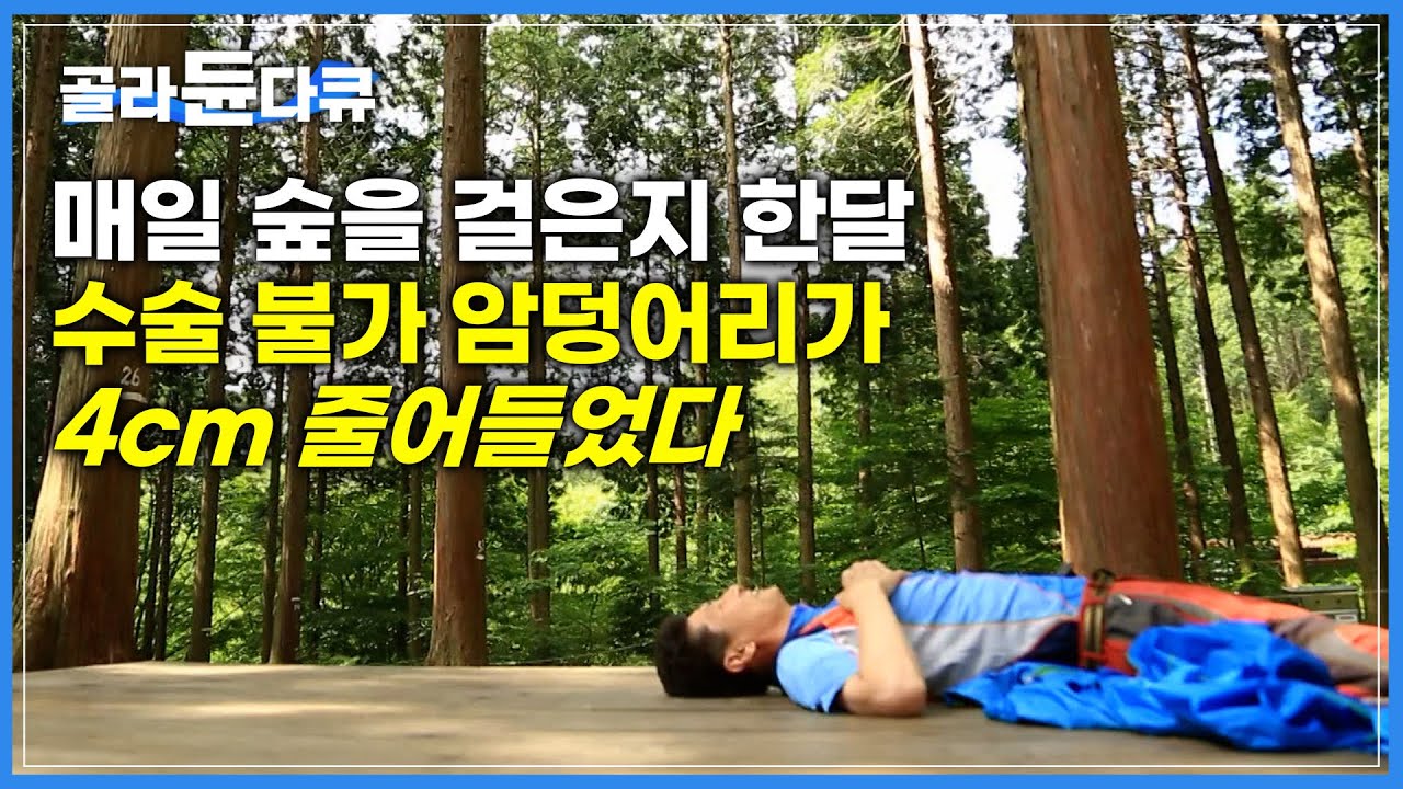 의사도 포기한 암, 무작정 들어간 산에서 찾은 희망|편백나무가 보여준 자연의 힘|전남 장성 축령산 치유의 숲|하나뿐인 지구|#골라듄다큐