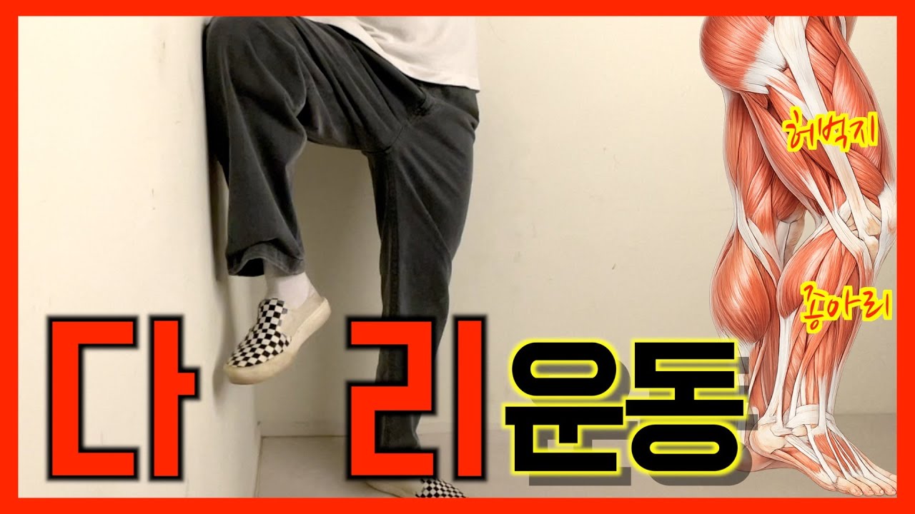 [운동] 다리운동 | 벽 모서리 이용 하체 운동