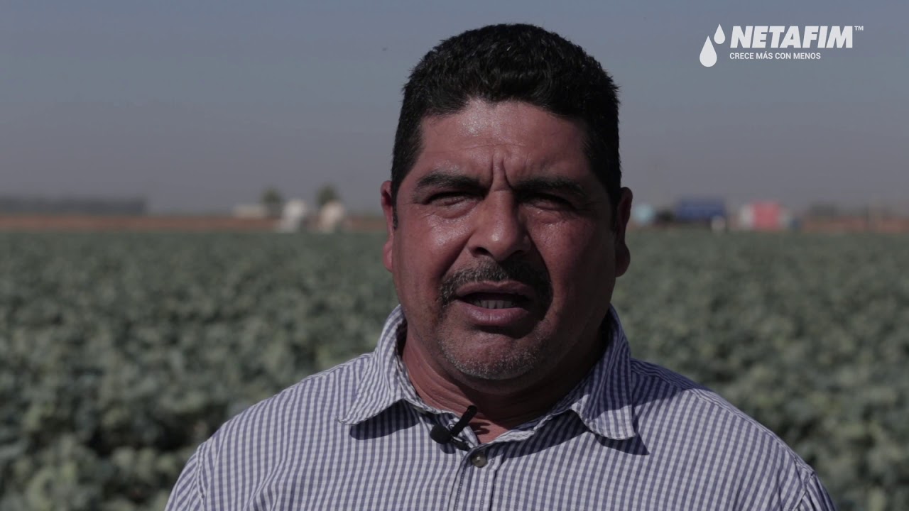Testimonio de éxito Netafim - Mexicali, México