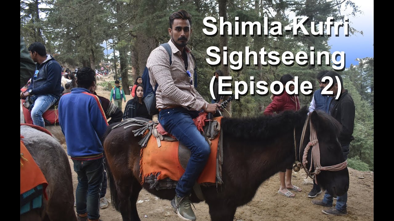 Shimla Kufri Sightseeing | Shimla-Kullu-Manali-Kasol Tour (Episode 2)