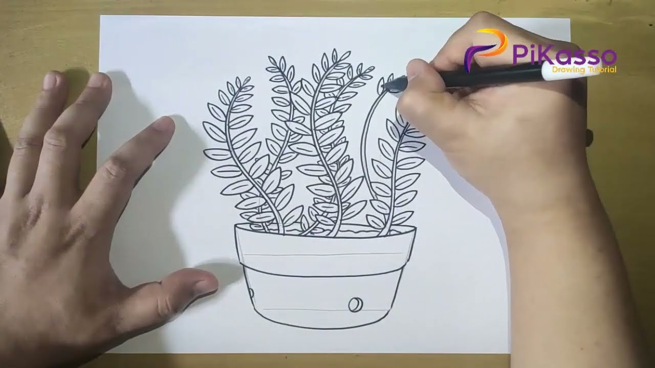 How to Draw a Fern Plant Easy step by step