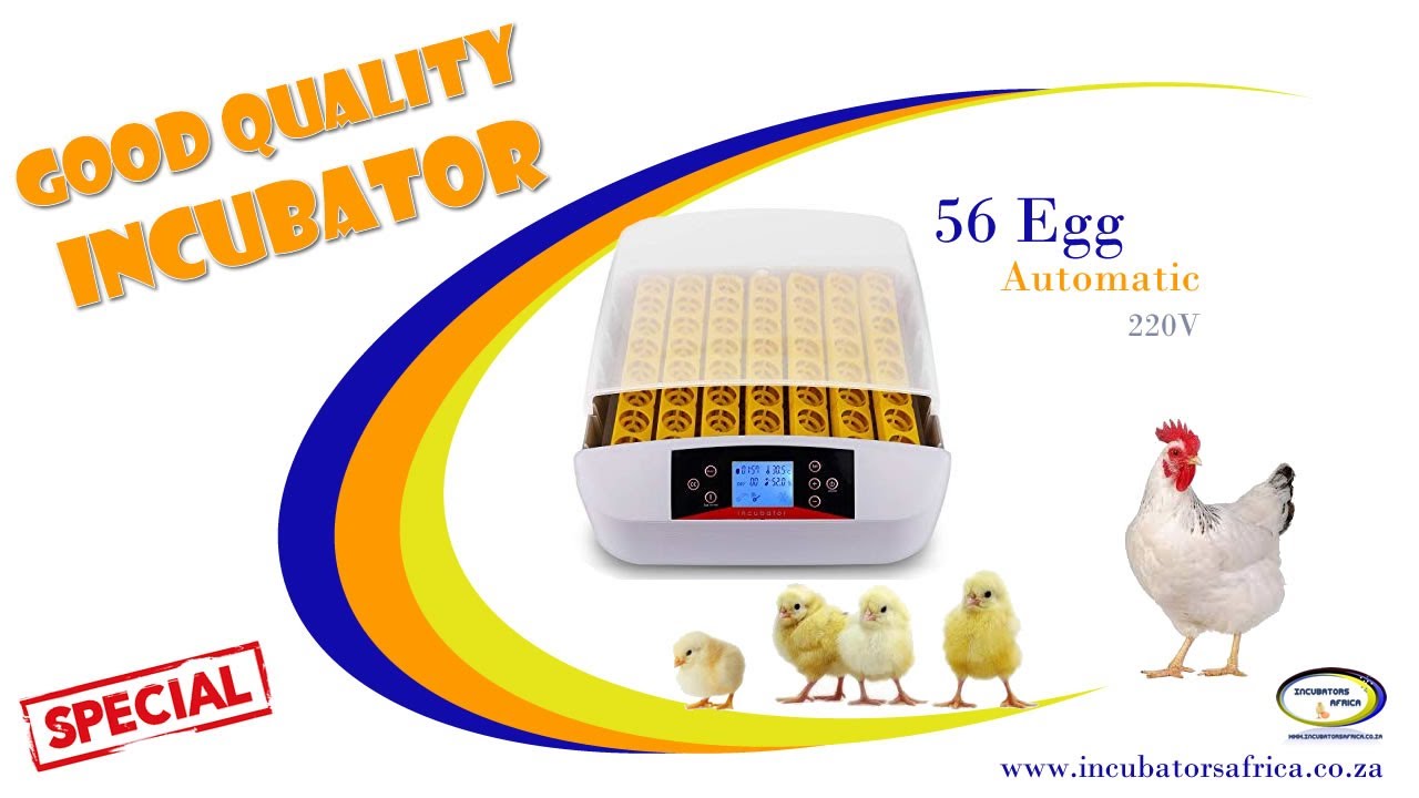 HOW TO USE A 56 EGG INCUBATOR...