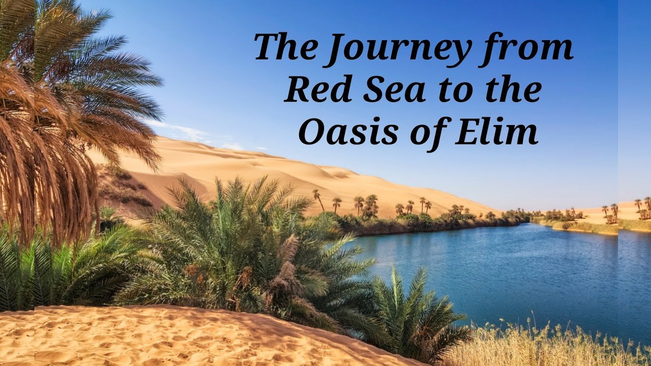 The Journey From Red Sea To The Oasis Of Elim || Sis. Leila Luis