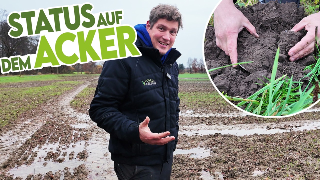 🌾🥶 Wie gehen unsere Feldversuche in den Winter?? Was müssen wir besser machen?