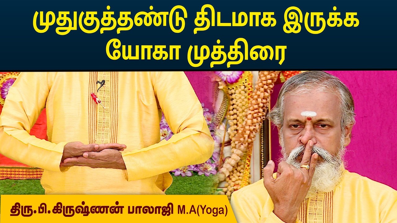 முதுகுத்தண்டு திடமாக இருக்க யோகா முத்திரை | Krishnan Balaji | MEGA TV