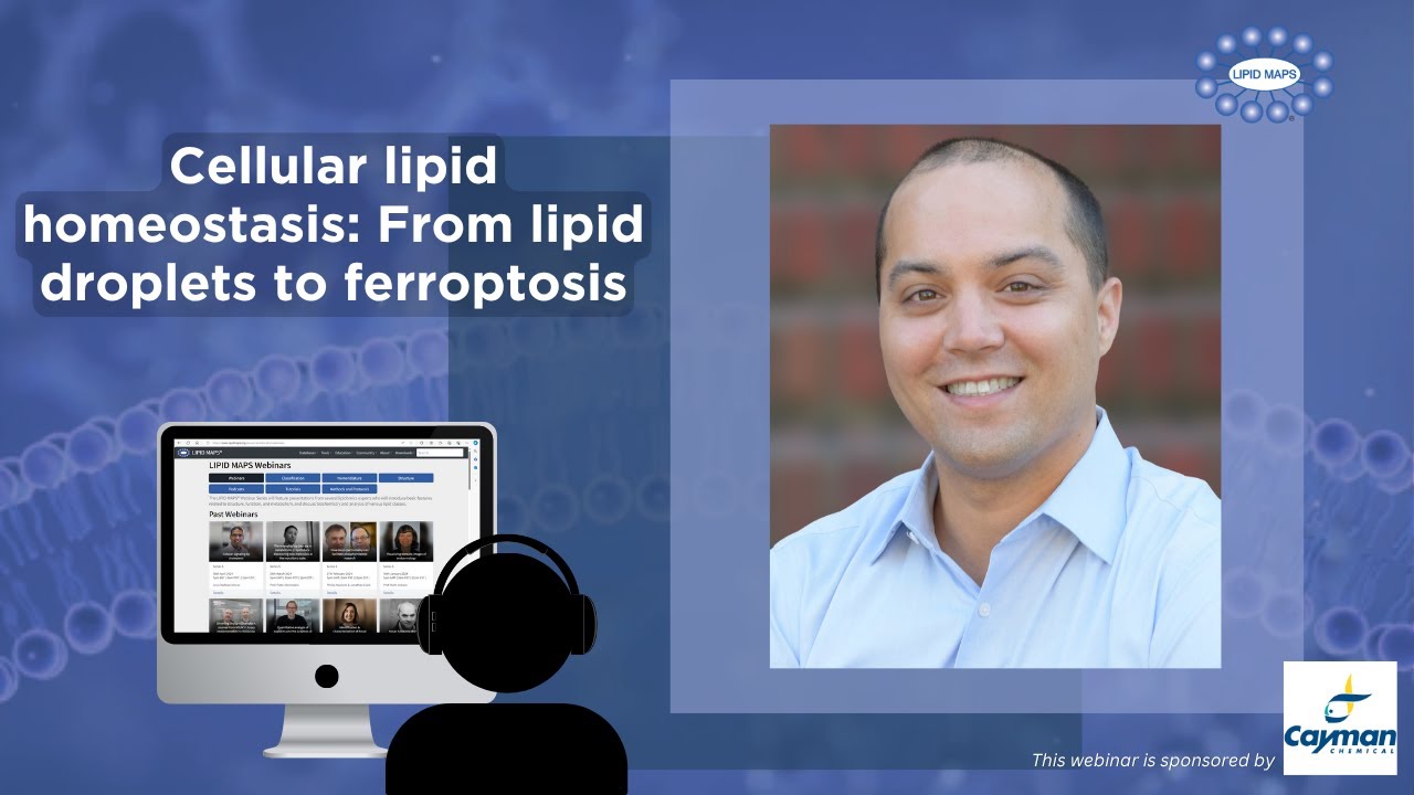 LIPID MAPS Webinar – James Olzmann – 16 December 2025