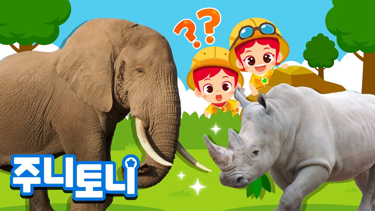 [생생탐구] 육지 최고의 덩치들! | 🐘코끼리 vs 🦏코뿔소 | 🌿초식 동물 최강자는 누굴까? | 어린이 자연관찰 | 주니토니 | JunyTony