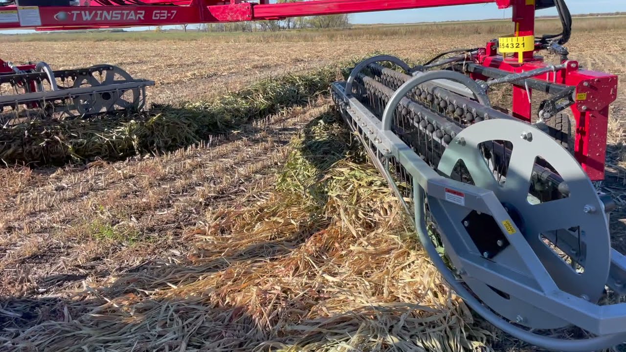 TWINSTAR Rake FLIPPING Sorghum windrows