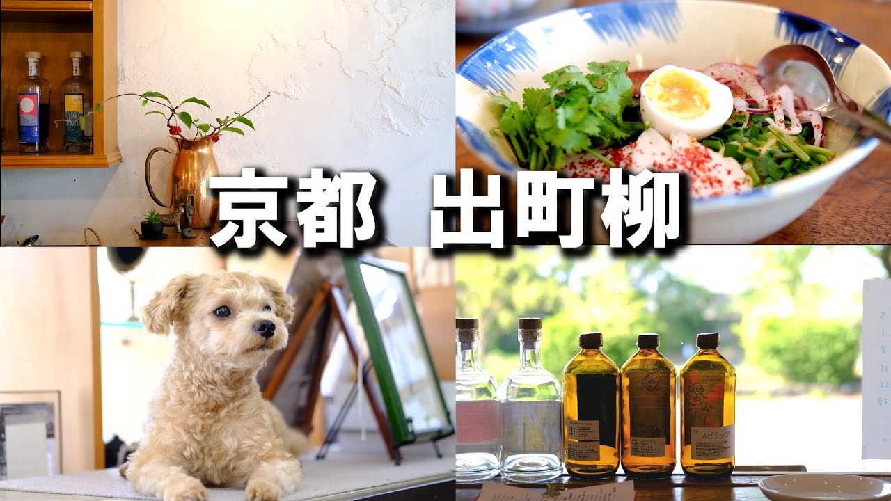 普通の京都観光に飽きたらココ！地元民と巡る出町柳のランチ3選とアートの旅#マルプー#コンカ#大地堂#京都Vlog