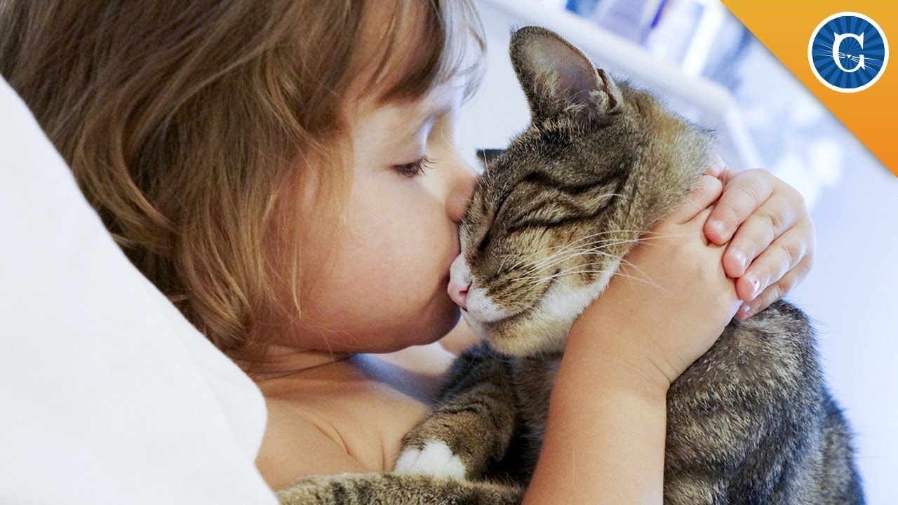 Can Cats and Kids Get Along?