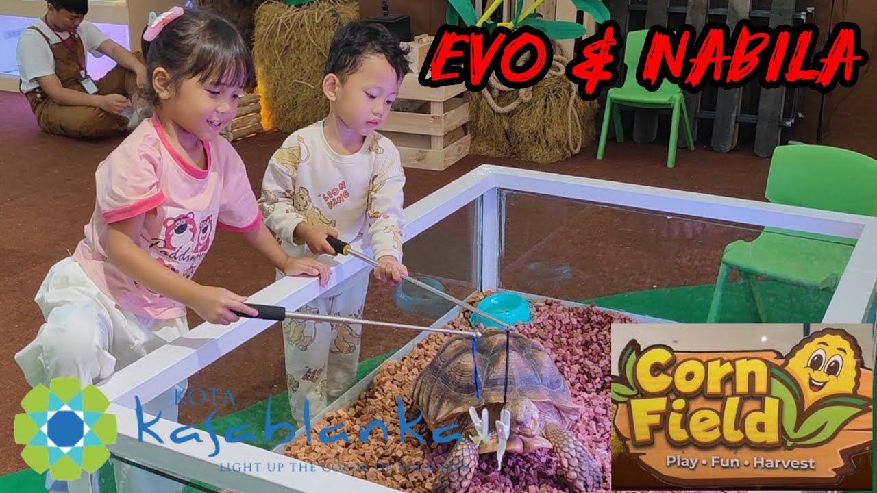 Corn Field (Play - Fun - Harvest) Mall Kota Kasablanka - KOKAS