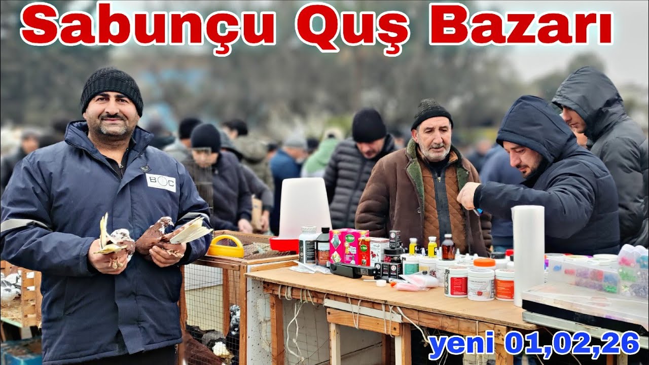 Sabunçu Quş Bazarı 1 fevral 2026 
