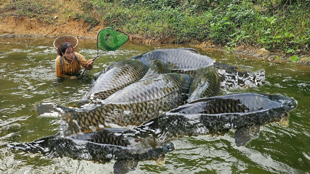 Traditional fishing techniques - Luyen decided to hire workers to build a new chicken coop.