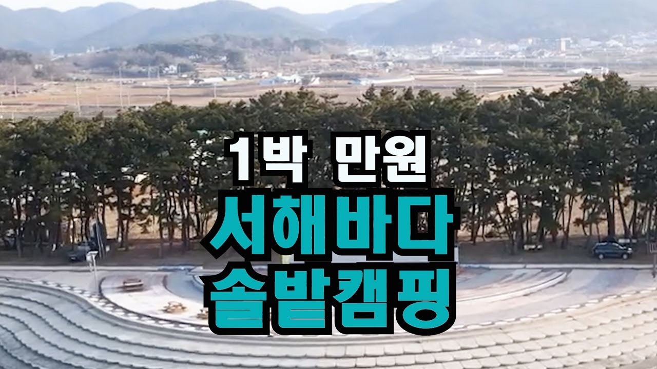 너무 유명해졌나? 1박 만원의 서해바다 가성비 최고 솔밭 캠핑지/그런데...