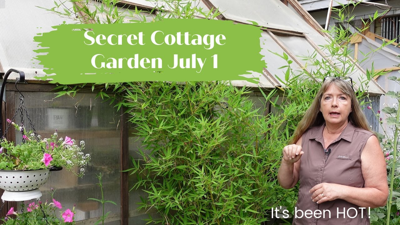 Secret Cottage Garden Tour July 1, Changes coming!