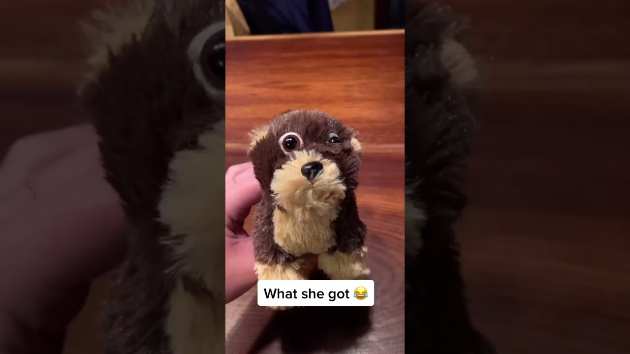 Nicoo and Milow realistic robot is a SCAM #nicoo #milow #dog #robot #scam #funny