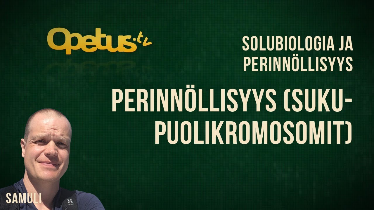 Perinnöllisyys (sukupuolikromosomit)