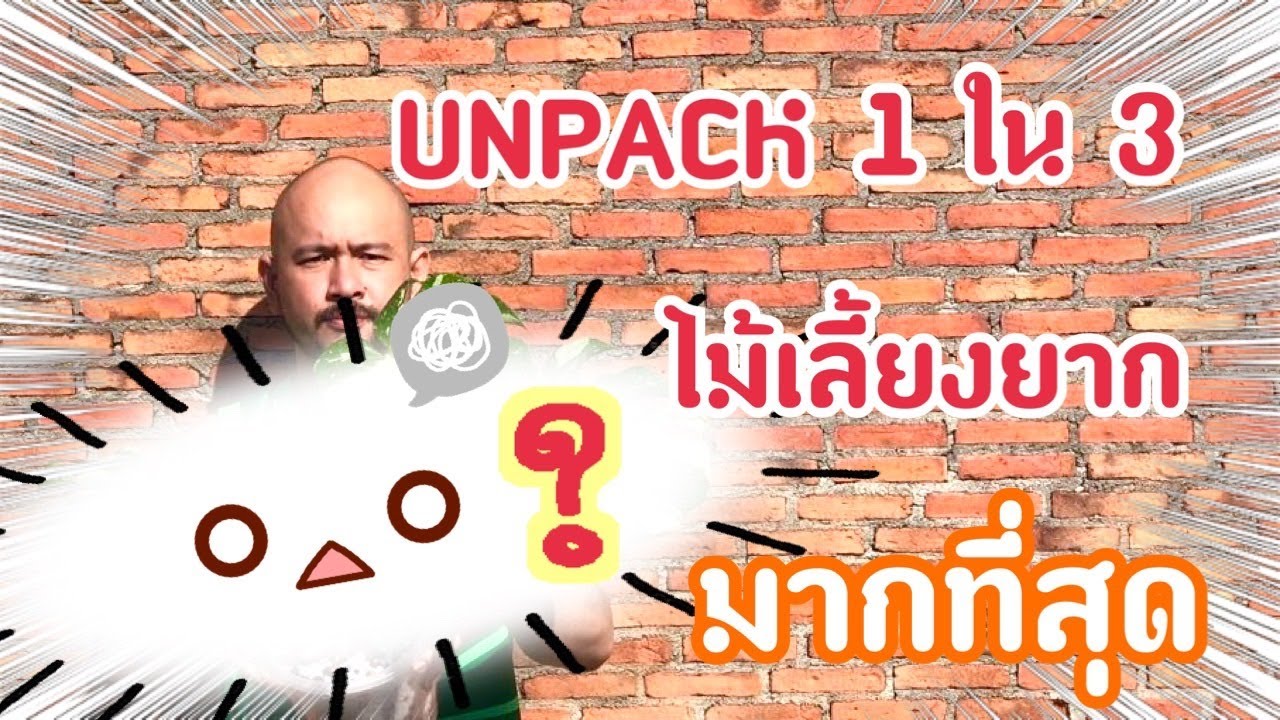 UNPACK เสน่ห์จันทร์บุษราคัม | แกะและแก้ปัญหาขอบใบไหม้พร้อมอธิบายสาเหตุ